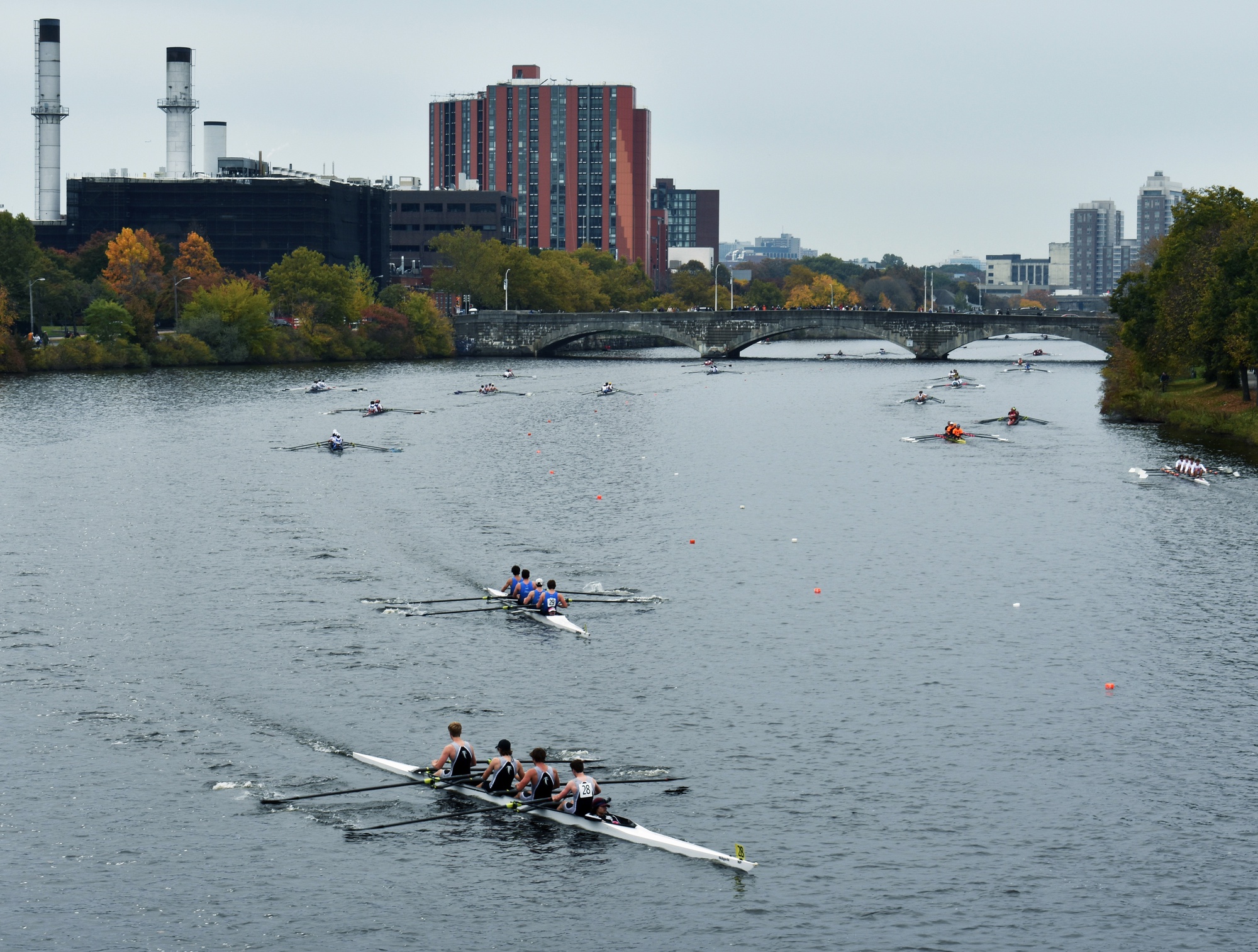 Turning the Blue Charles Gold: Harvard Rowers Claim Victories at 2022 ...