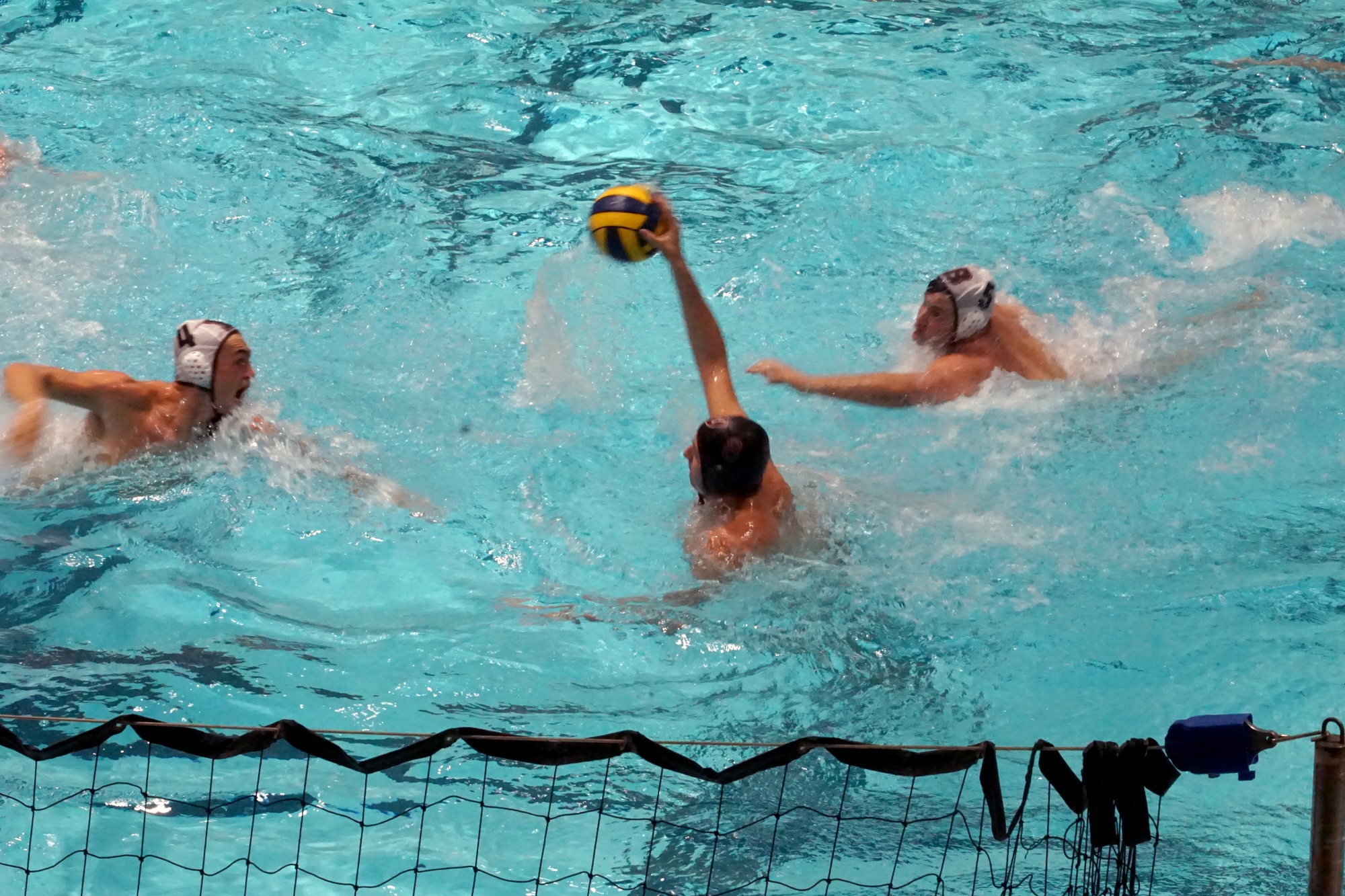 Harvard Takes Two Wins at Home vs. Brown, MIT | Sports - Vimarsana News