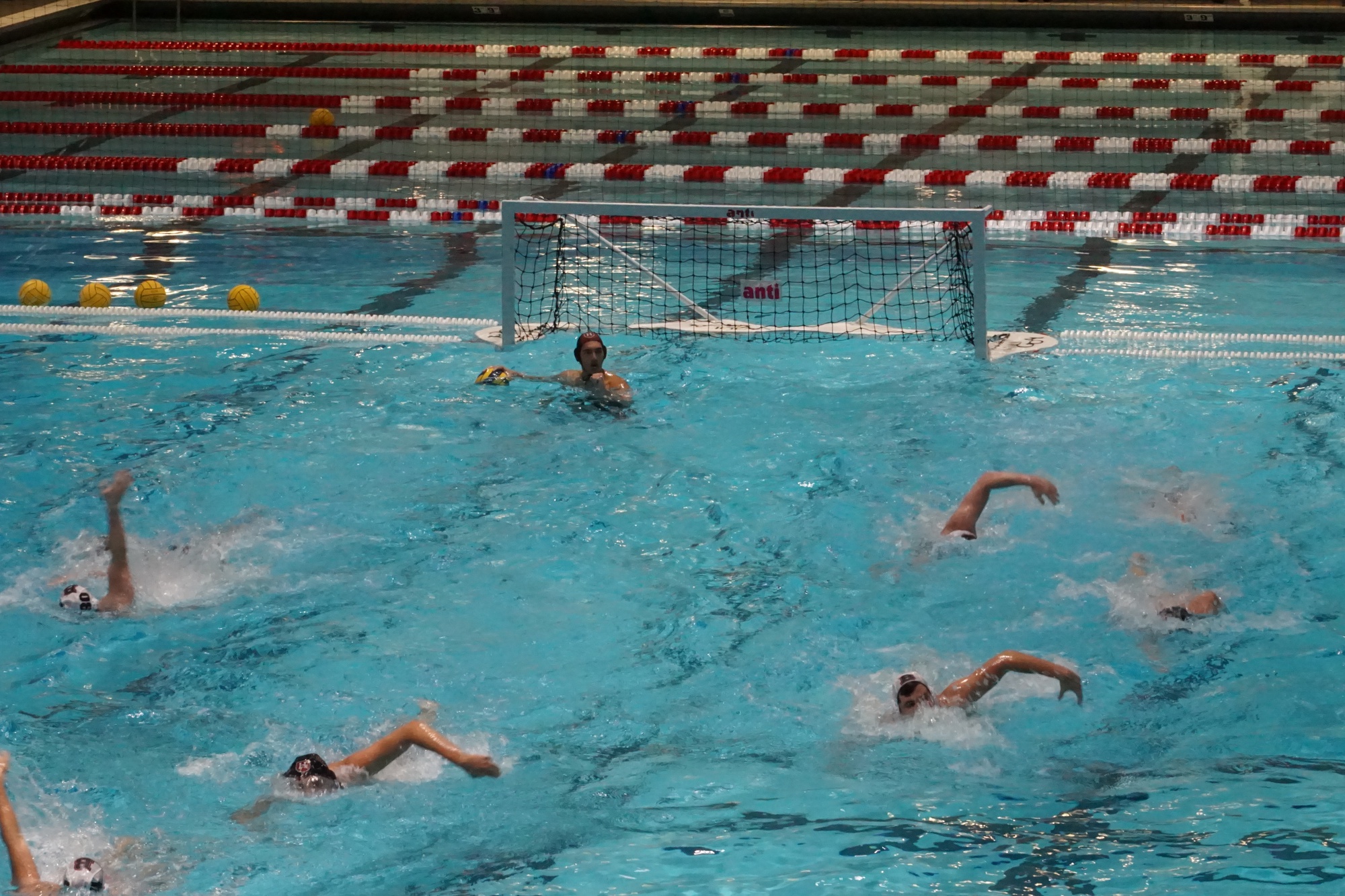 Following Home Stint, Water Polo Looking Forward to Playoff Waters | Sports - Vimarsana News