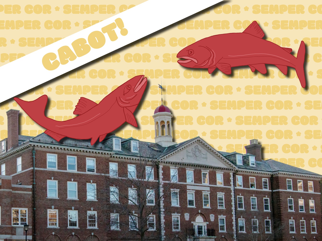 cabot housing market 2023 header Flyby The Harvard Crimson