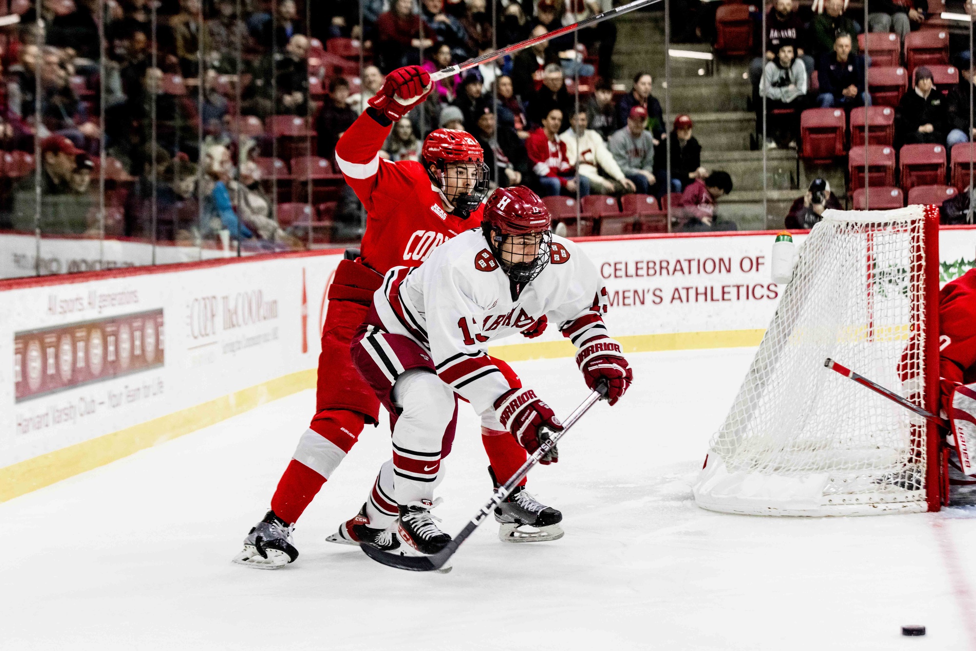 No. 6 Harvard Falls One Win Short of Whitelaw Cup Repeat | Sports - Vimarsana News