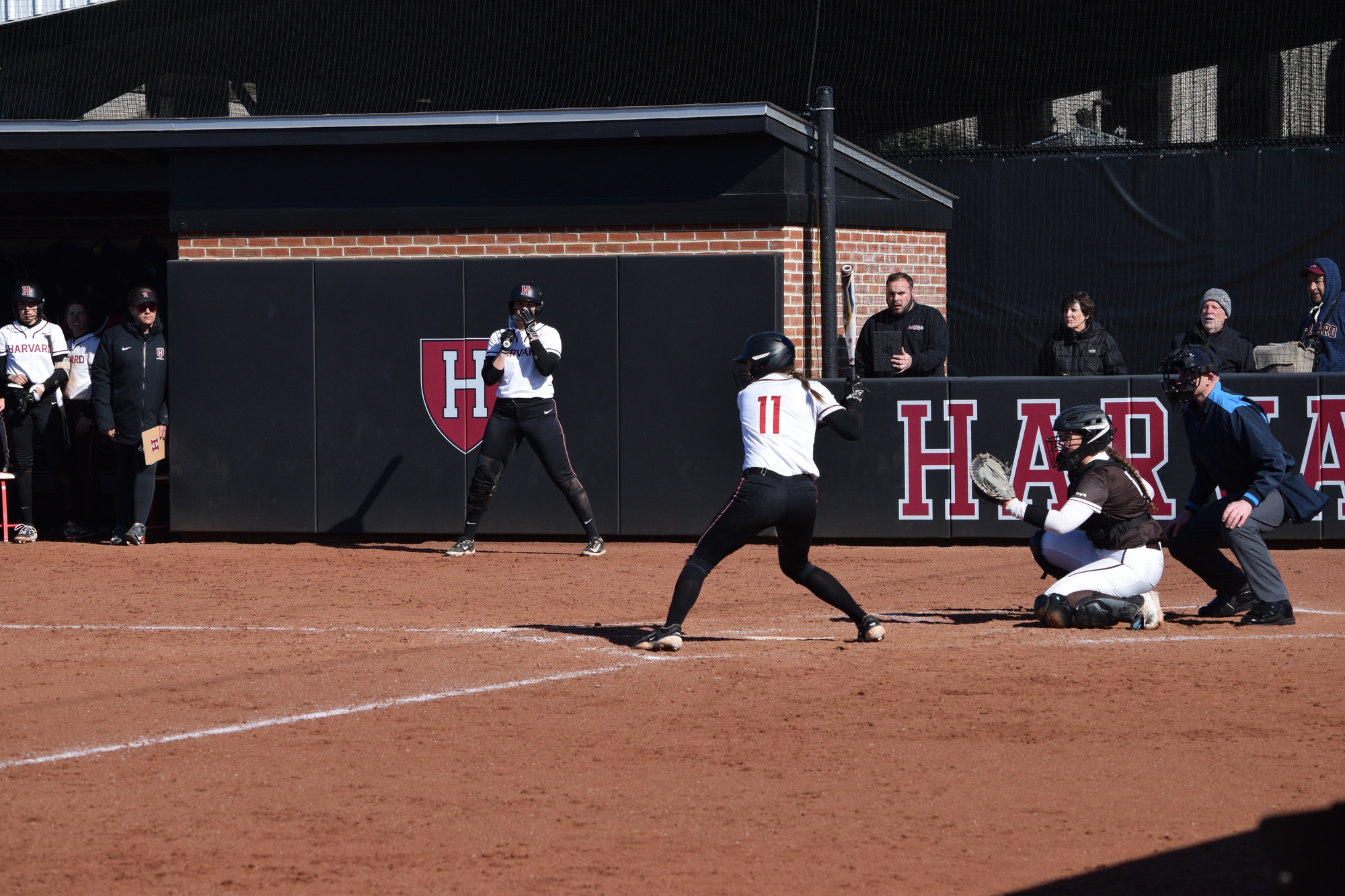 Harvard Softball Batters Brown Bears, Dials in for Midseason Matchups | Sports - Vimarsana News