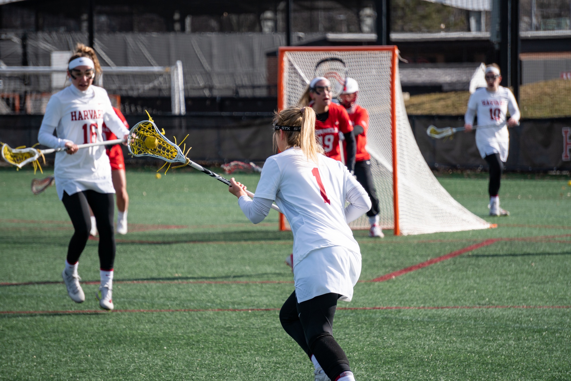 Women's Lacrosse Looks to Start Hot at the Frosty Face Off | Sports - Vimarsana News