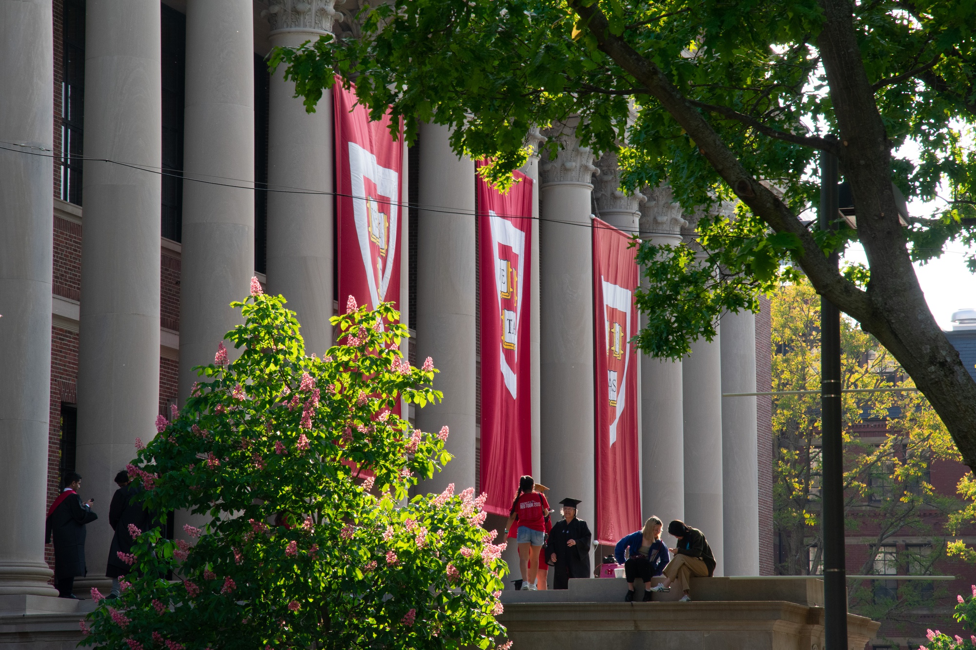 As it Happened Harvard Commencement 2023 News The Harvard Crimson