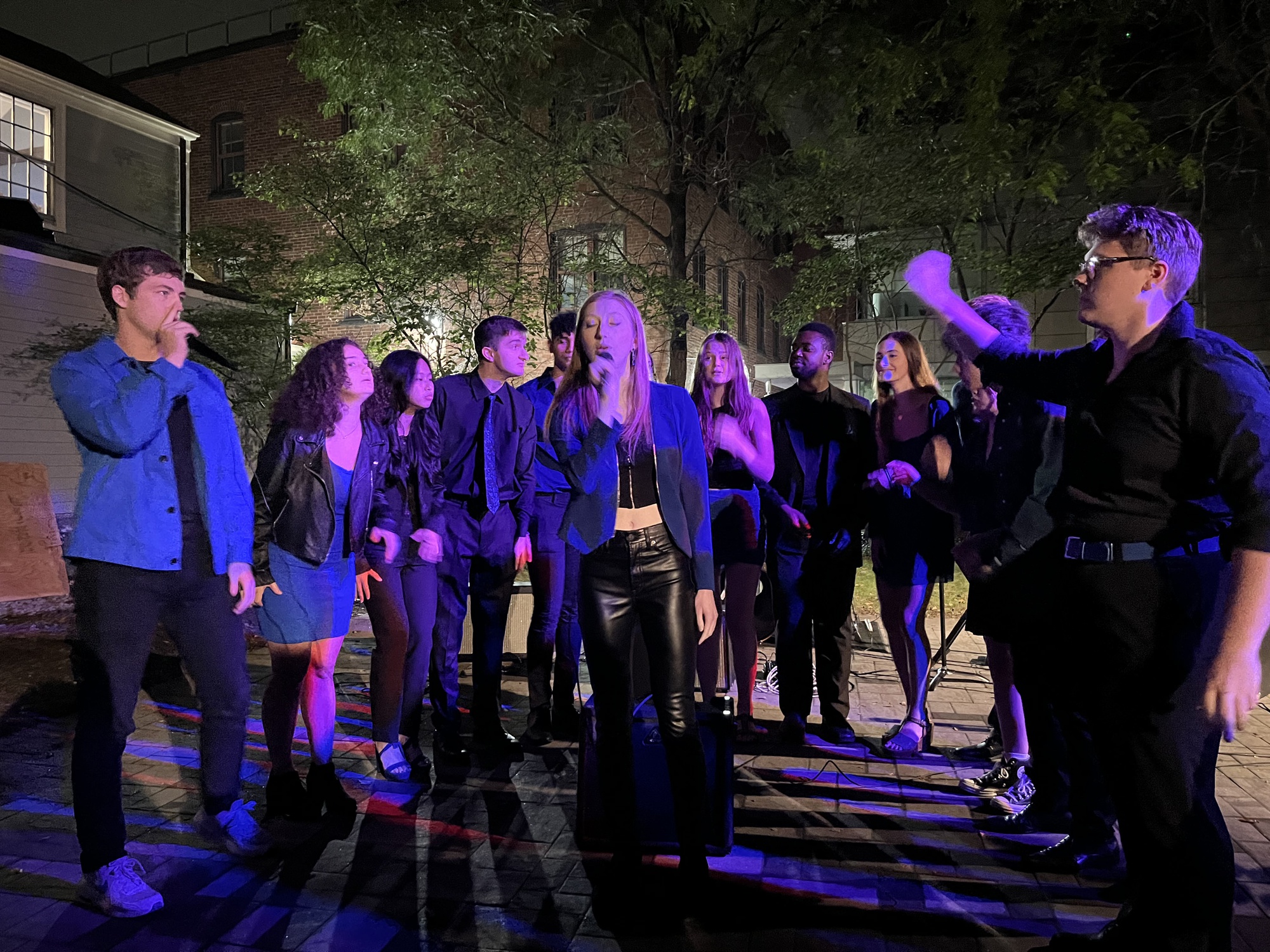 Harvard Votes Challenge's 'Rock the Vote Concert' Integrates Civic Engagement with Performing Arts | Arts - Vimarsana News