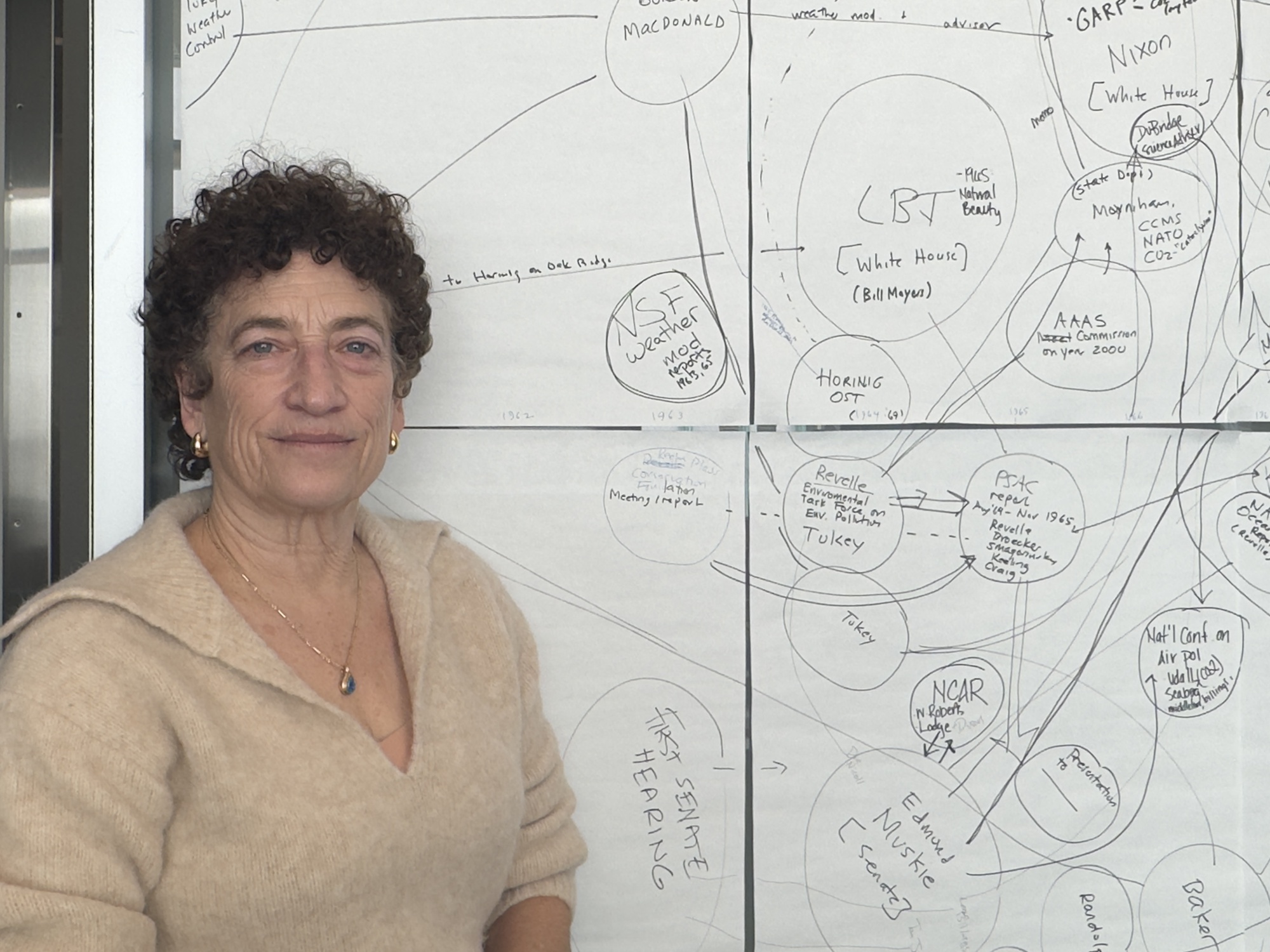 Fifteen Questions: Naomi Oreskes on Climate Change Denial, Apolitical Scientists, and Her Favorite Rocks | Magazine - Vimarsana News