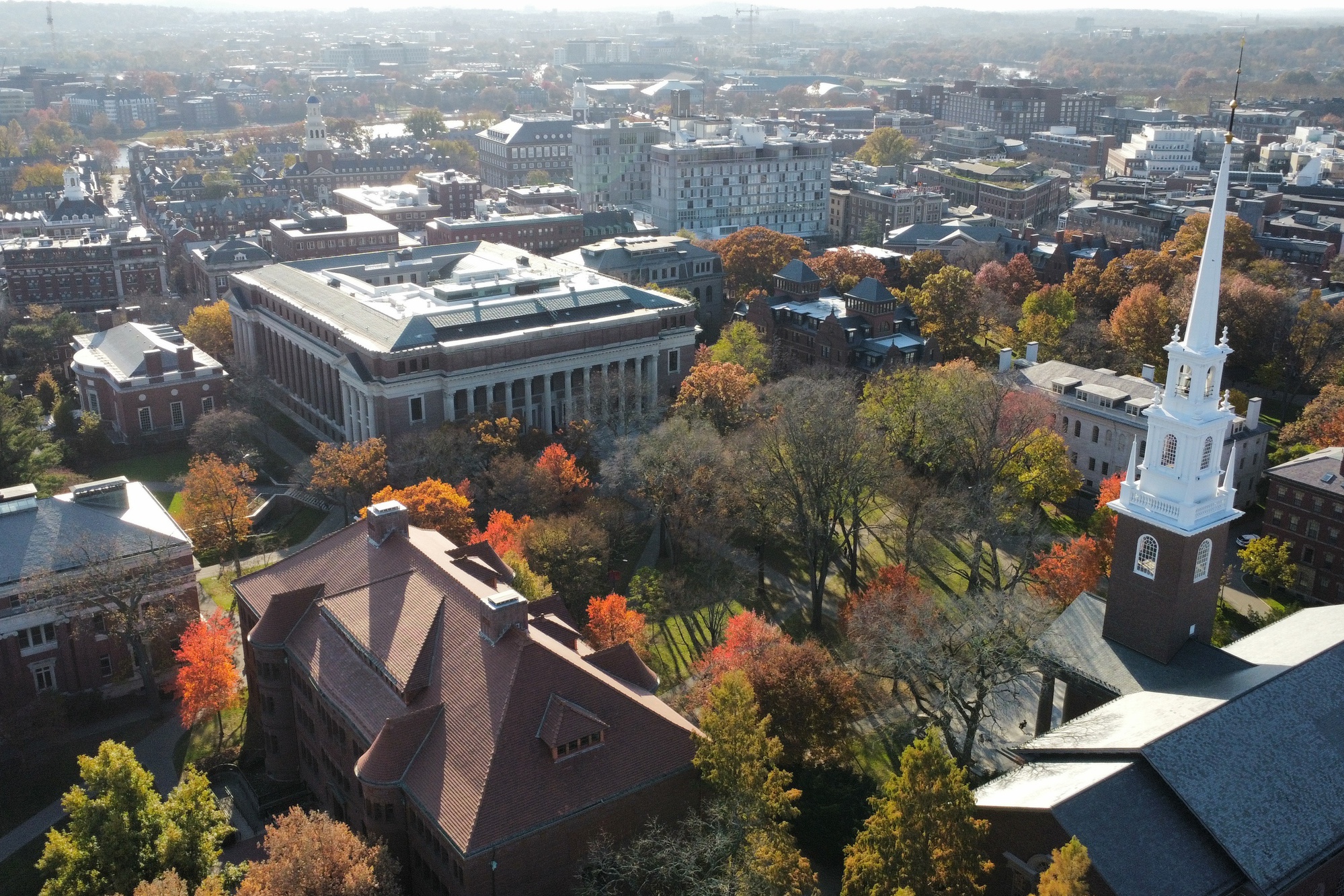 As Harvard's Governing Boards Meet, More than 350 Faculty Urge Against Gay's Removal, Citing University Independence | News - Vimarsana News
