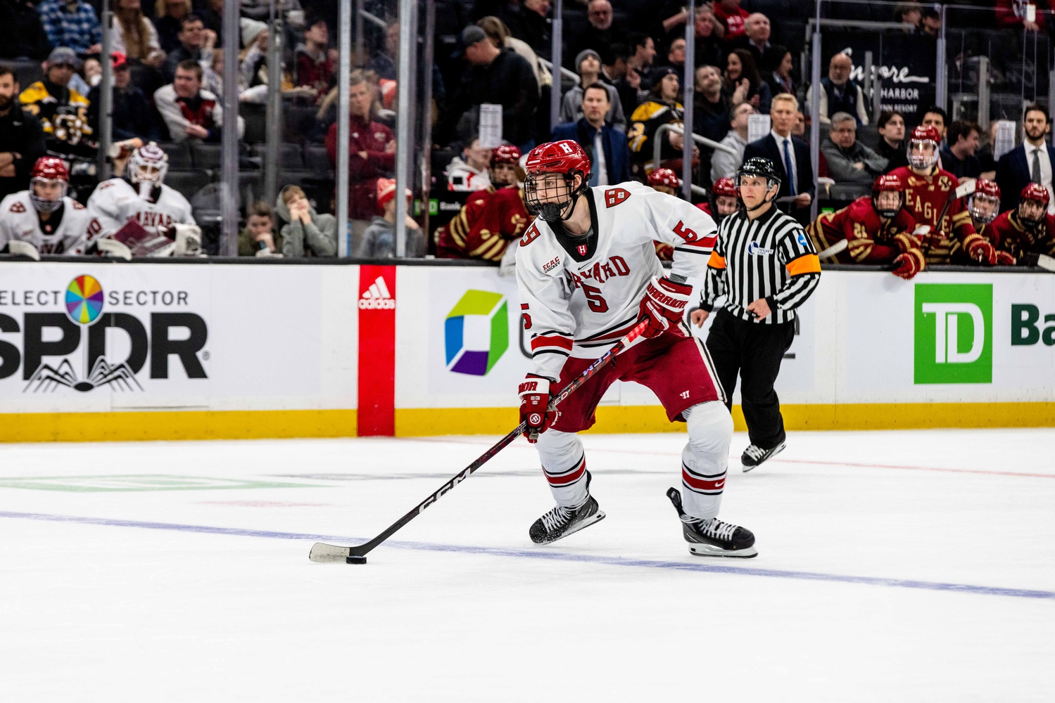 Looking for a Lane Sports The Harvard Crimson