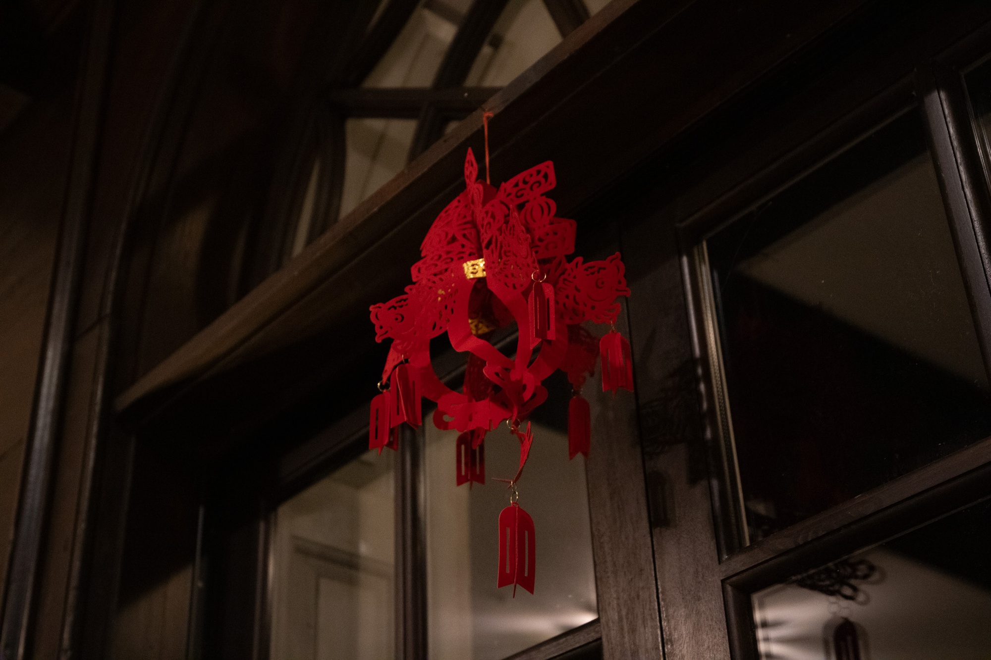 Harvard Students Celebrate Lunar New Year on Campus | News - Vimarsana News