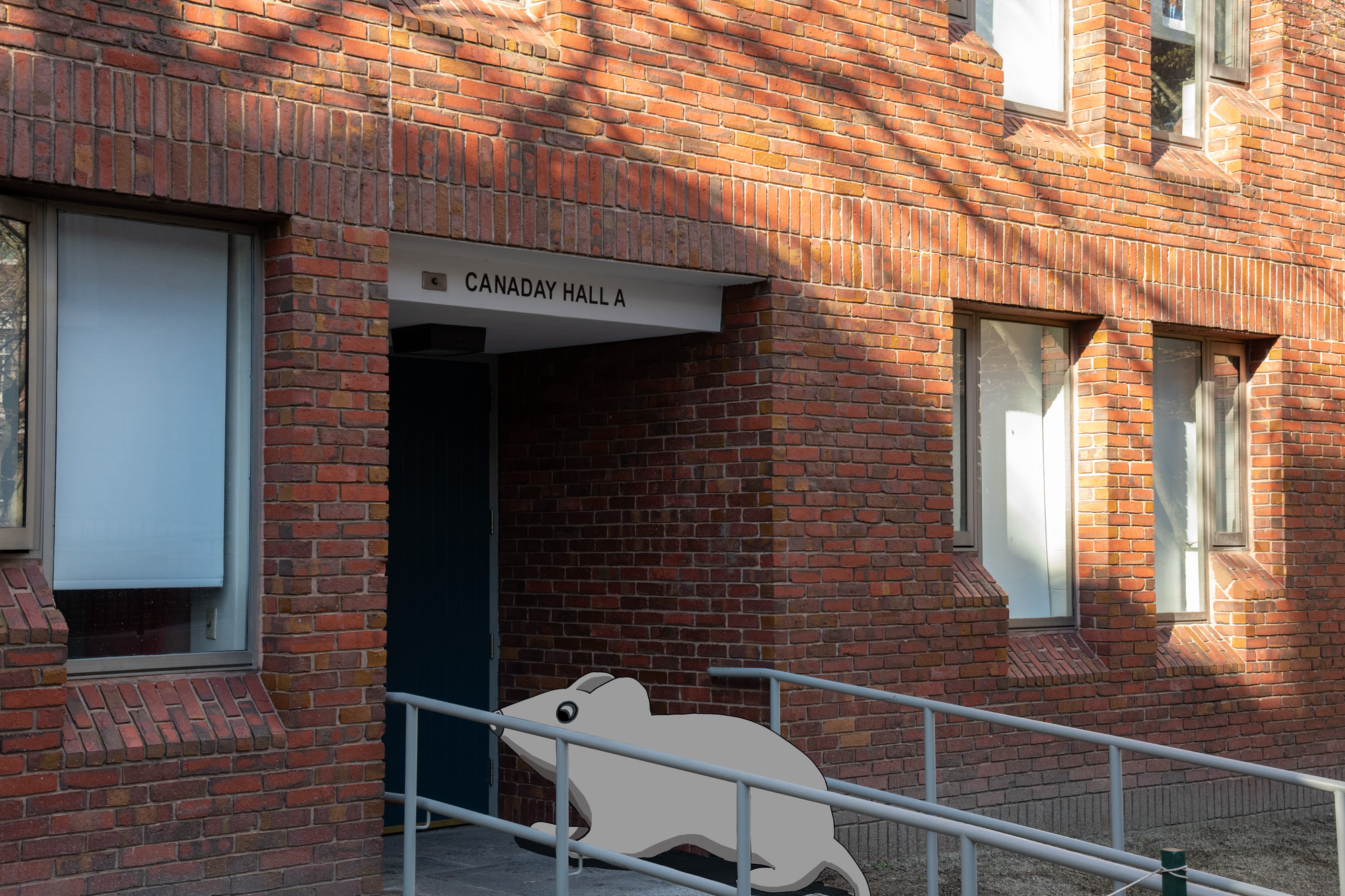 'Like a Horror Movie': Freshmen Complain About Mice in Dorms | News - Vimarsana News