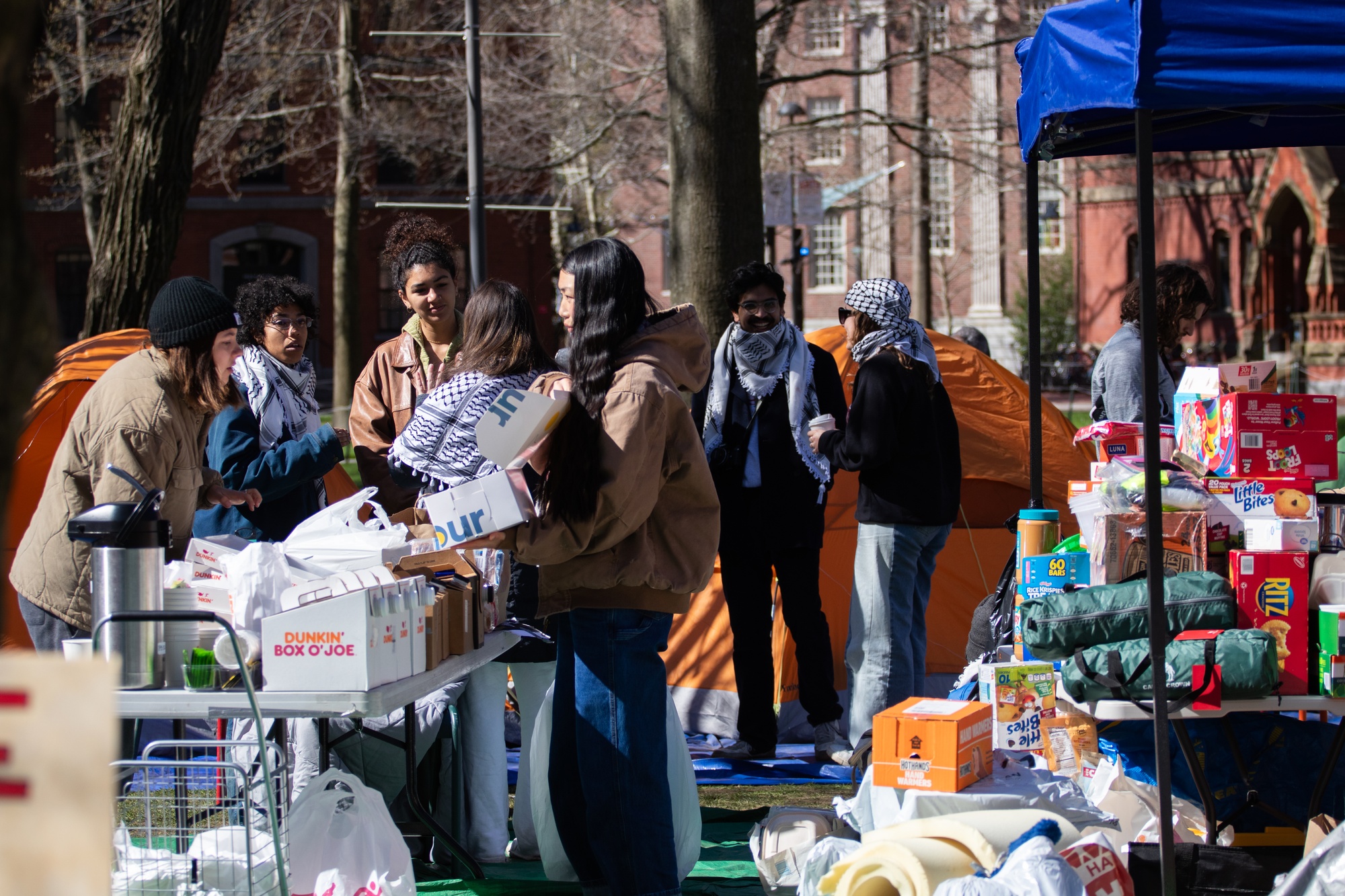 LIVE UPDATES: Day 2 of Harvard Yard Encampment | News - Vimarsana News