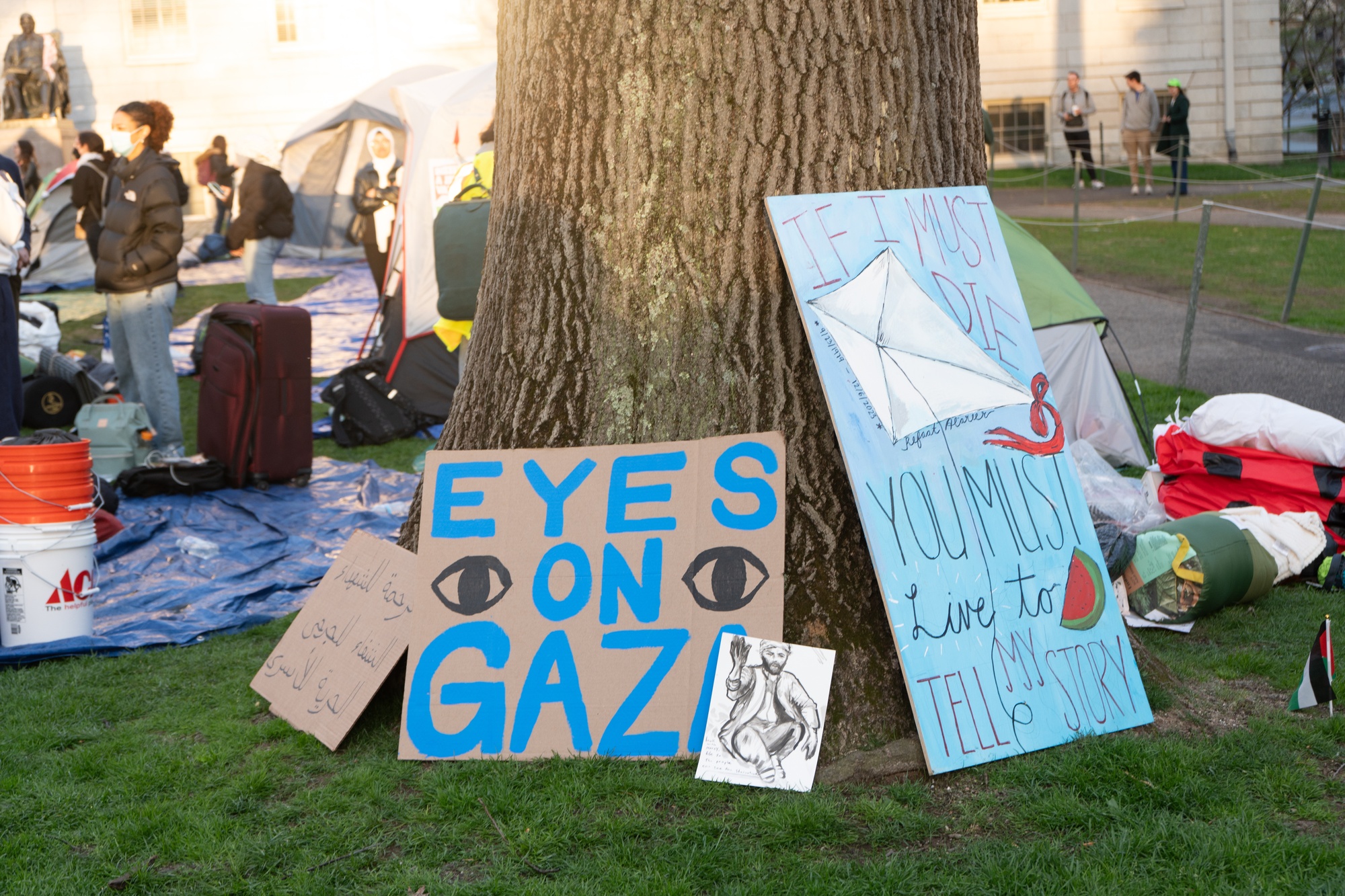 Boaz Barak: For Our Sake and The Middle East's, Harvard's Protesters Should Stop Grabbing Headlines | Opinion - Vimarsana News