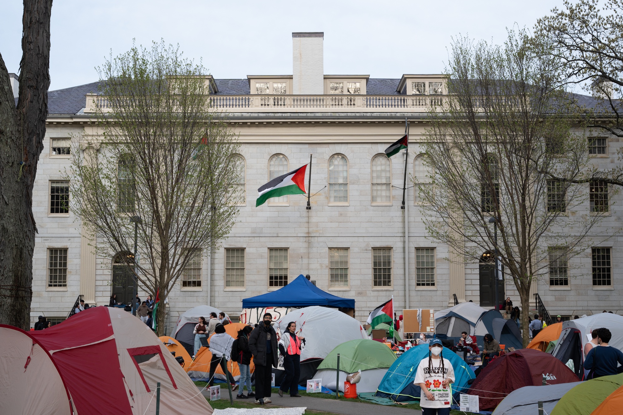 I’m an Israeli Professor at Harvard. It Has Never Been Harder