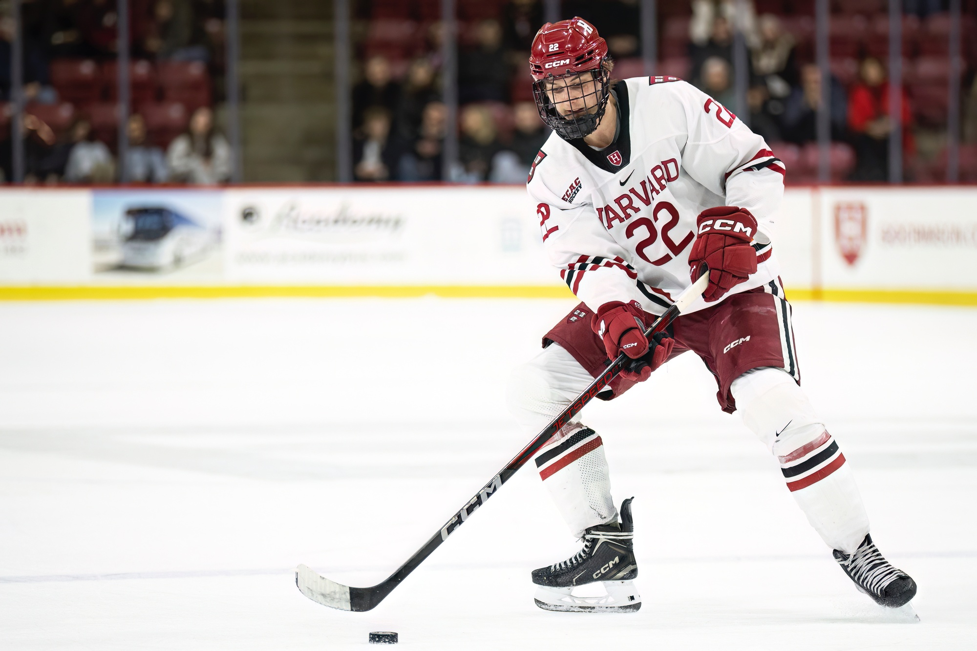 Harvard Men’s Ice Hockey Splits Weekend with Overtime Games Against Yale and Brown | Sports | The Harvard Crimson