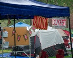Encampment Disclose and Divest Signs in the Rain