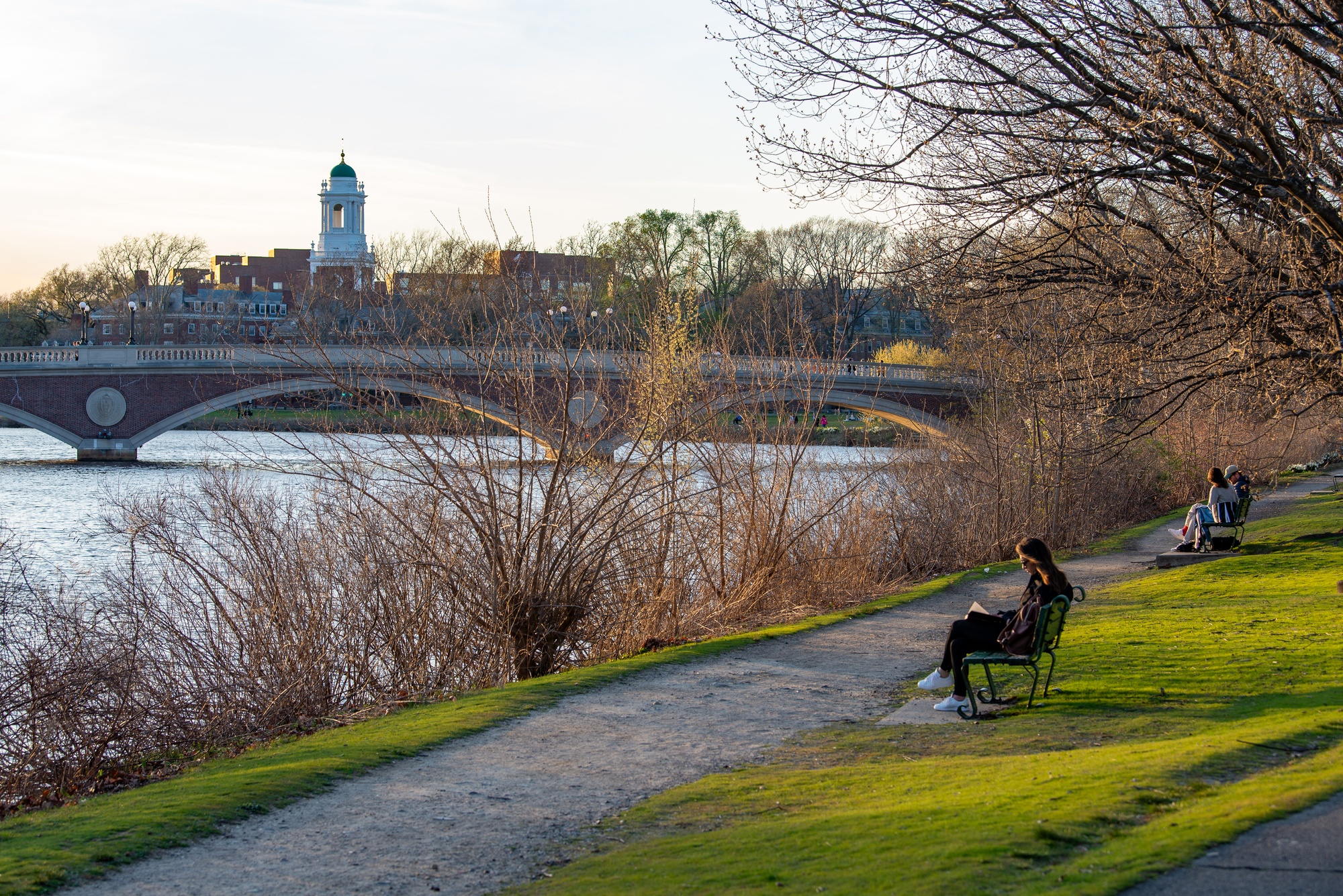 Harvard Students, Faculty Attend COP30 in Brazil To Implement Climate Change Solutions