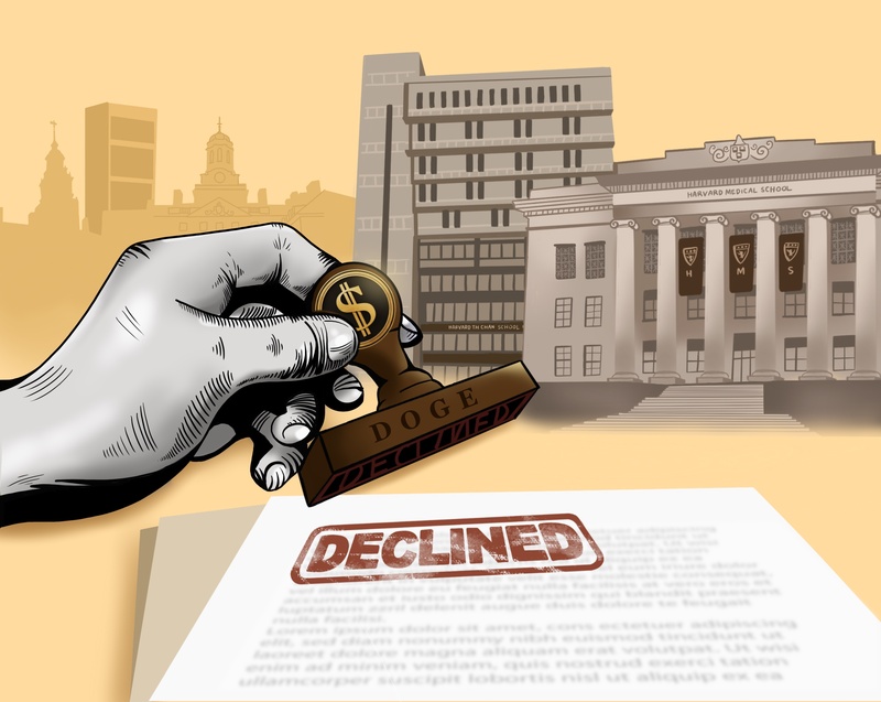 doge graphic doge graphic