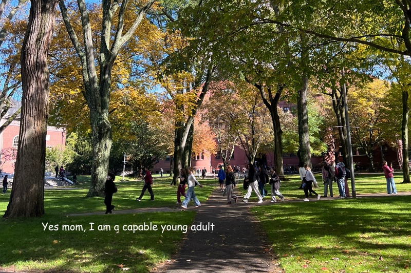 I've got it together. I've got it together.