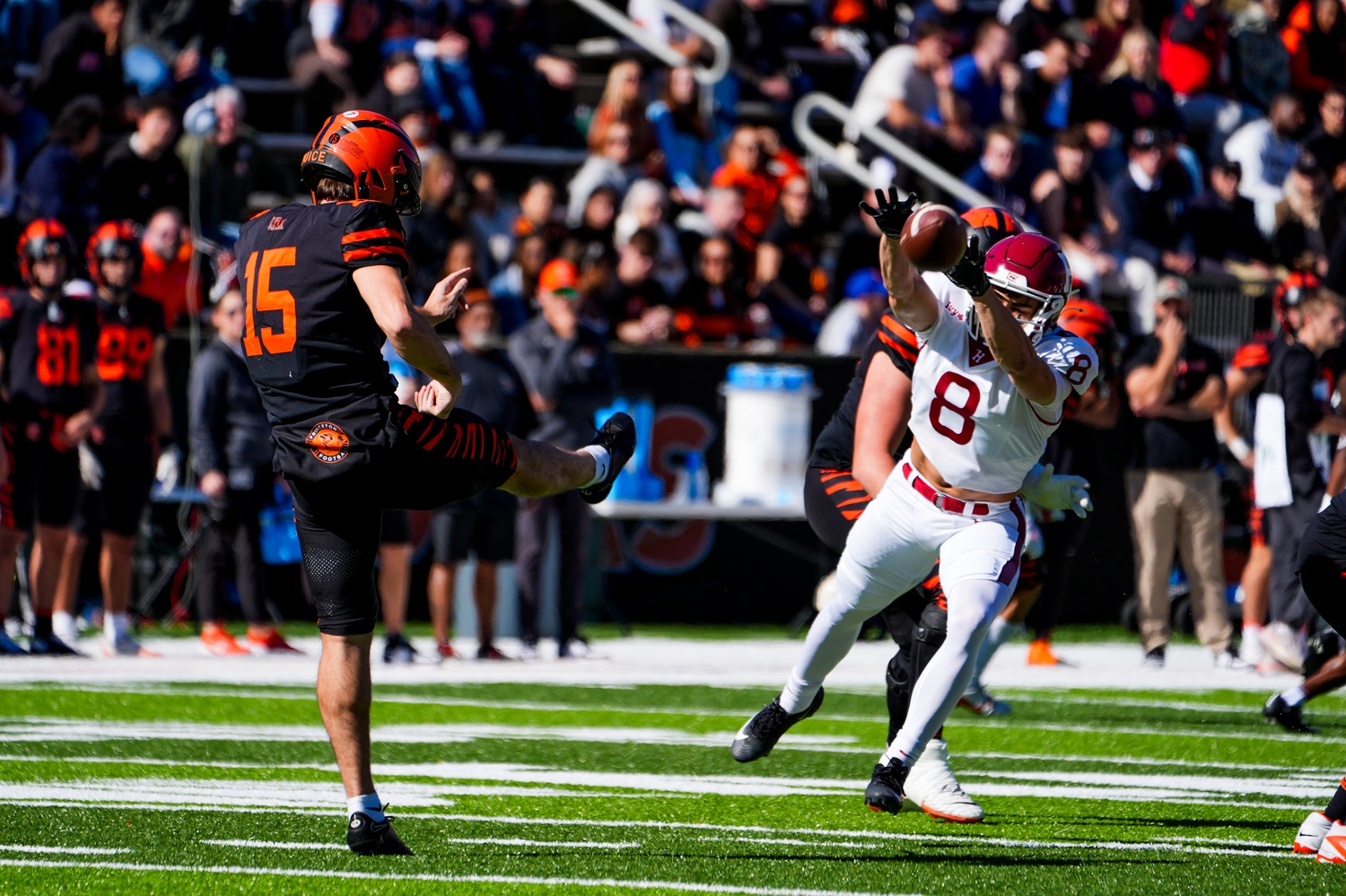 Harvard lunges for a Princeton punt.