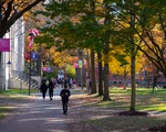Students Walk in Harvard Yard