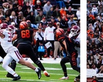 Harvard v. Princeton 2025 Lines breaks up pass