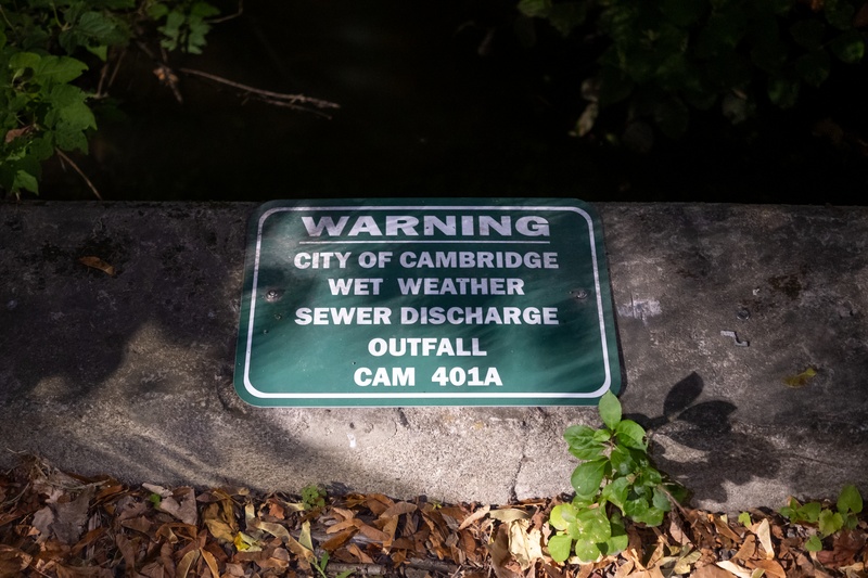 Alewife Brook Sewage Sign