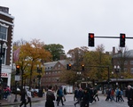 Fall in Harvard Square