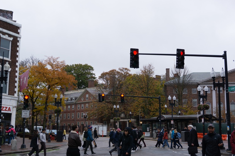 Fall in Harvard Square