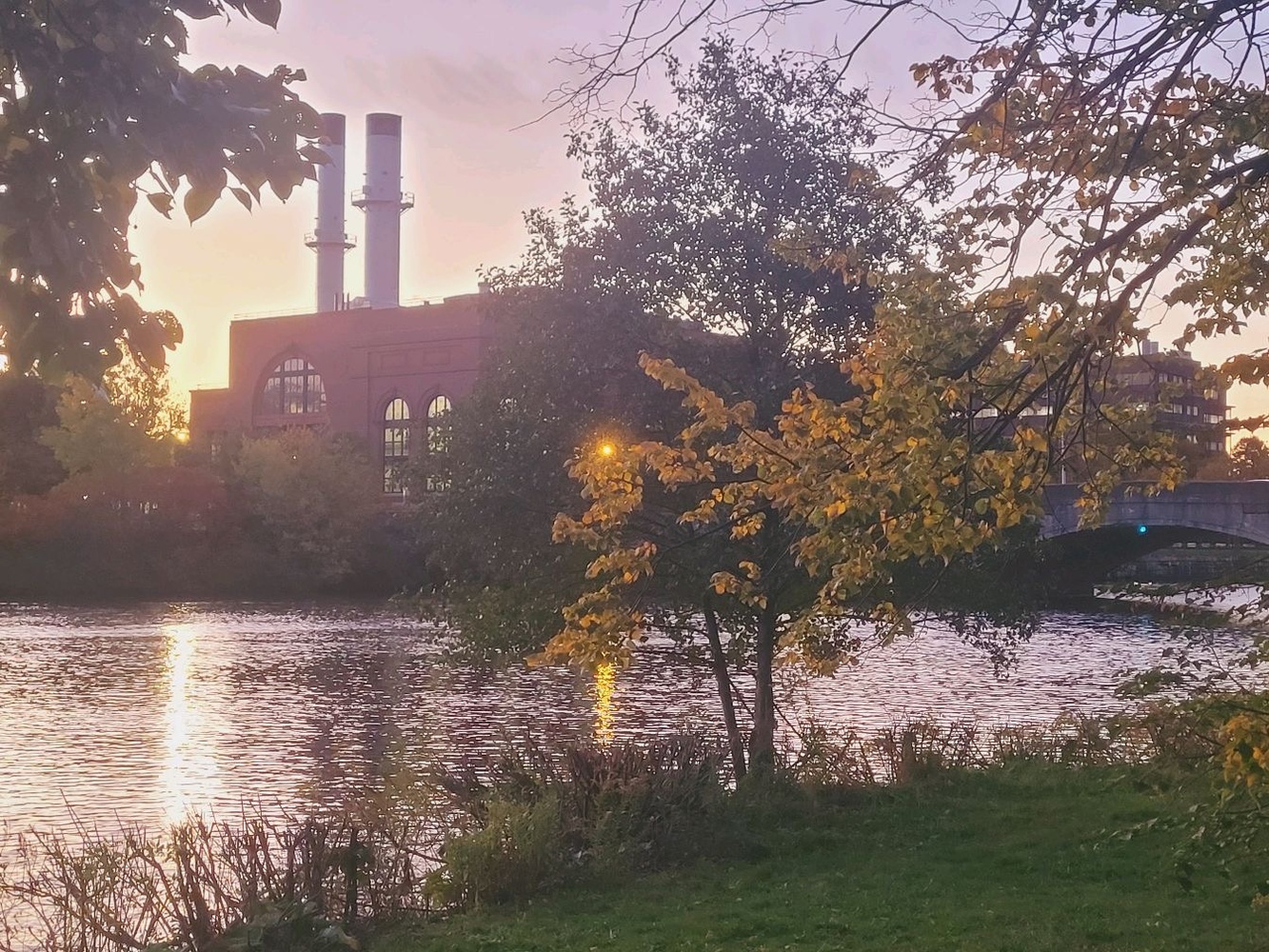 Nature's first green is gold.