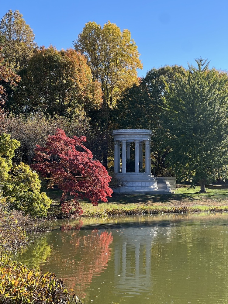 Mount Auburn Cemetery Trees