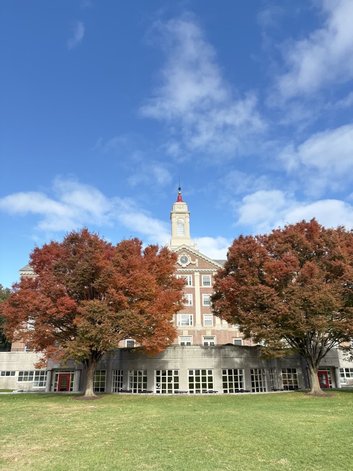 Quad lawn! Semper Foliage.