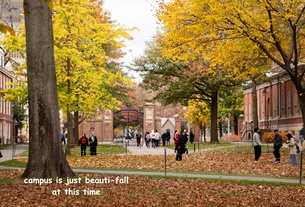 Seeing is be-leaf-ing.