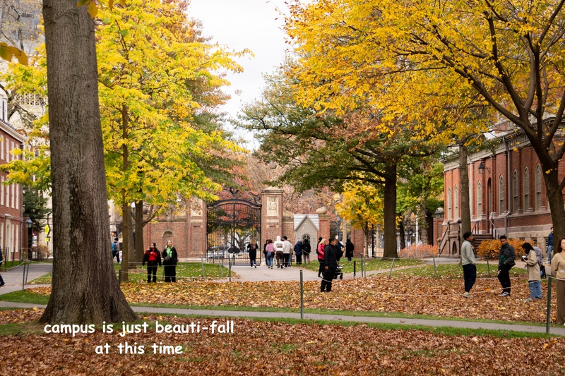 Seeing is be-leaf-ing.