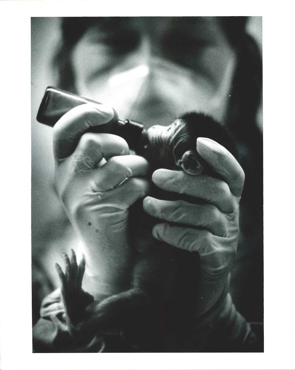 A worker at the NEPRC hand-feeds an infant.