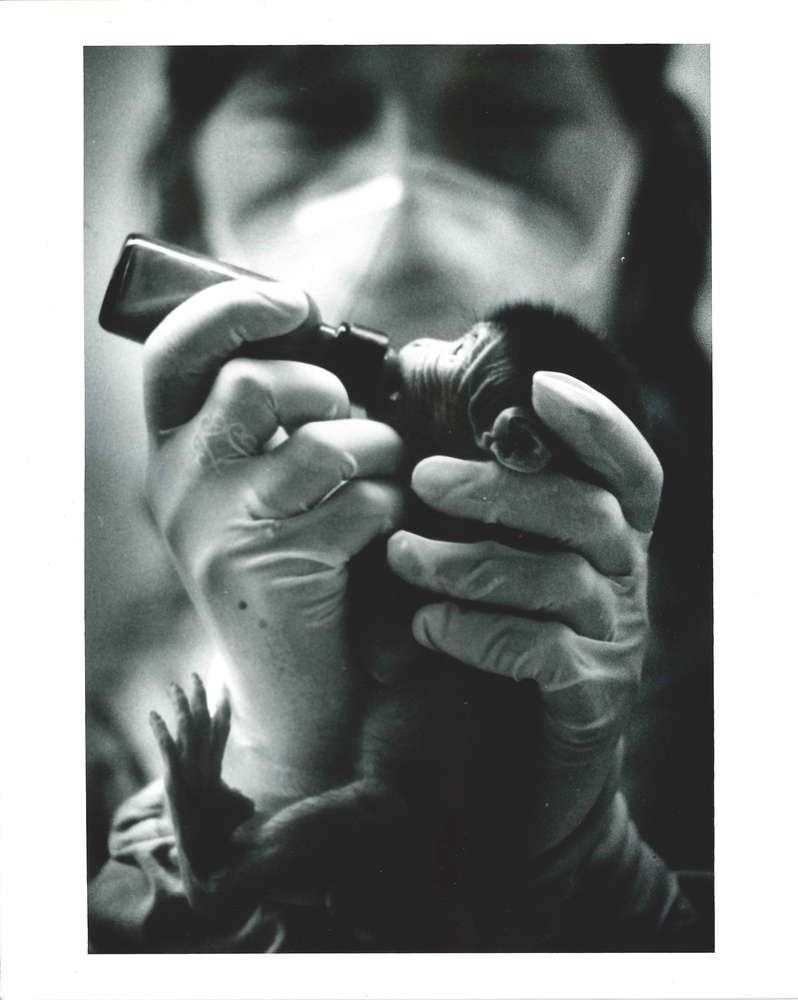 A worker at the NEPRC hand-feeds an infant.