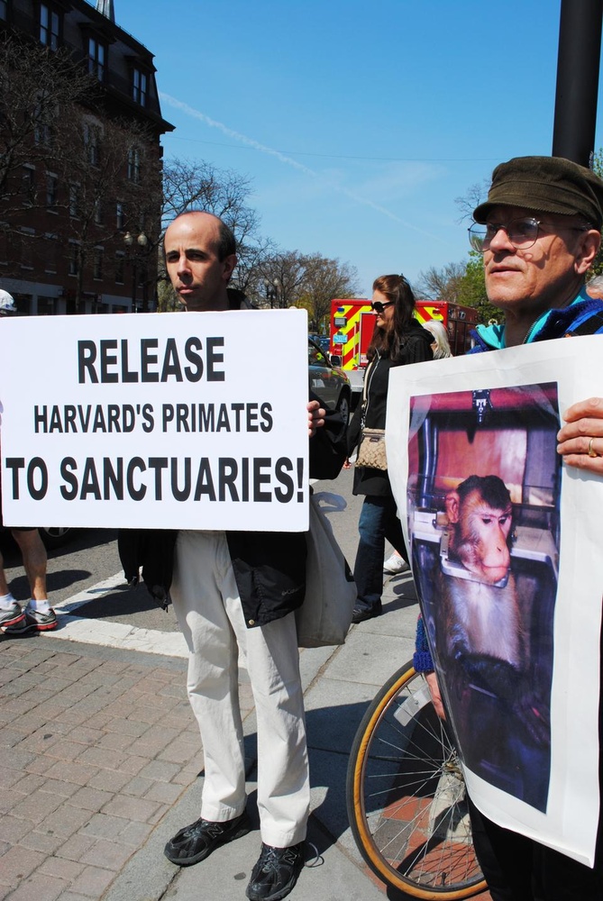 Protesters gather in Harvard Square in 2012, with a sign reading "Release Harvard's primates to sanctuaries!"