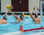 Men's Water Polo Sweeps MIT and Brown