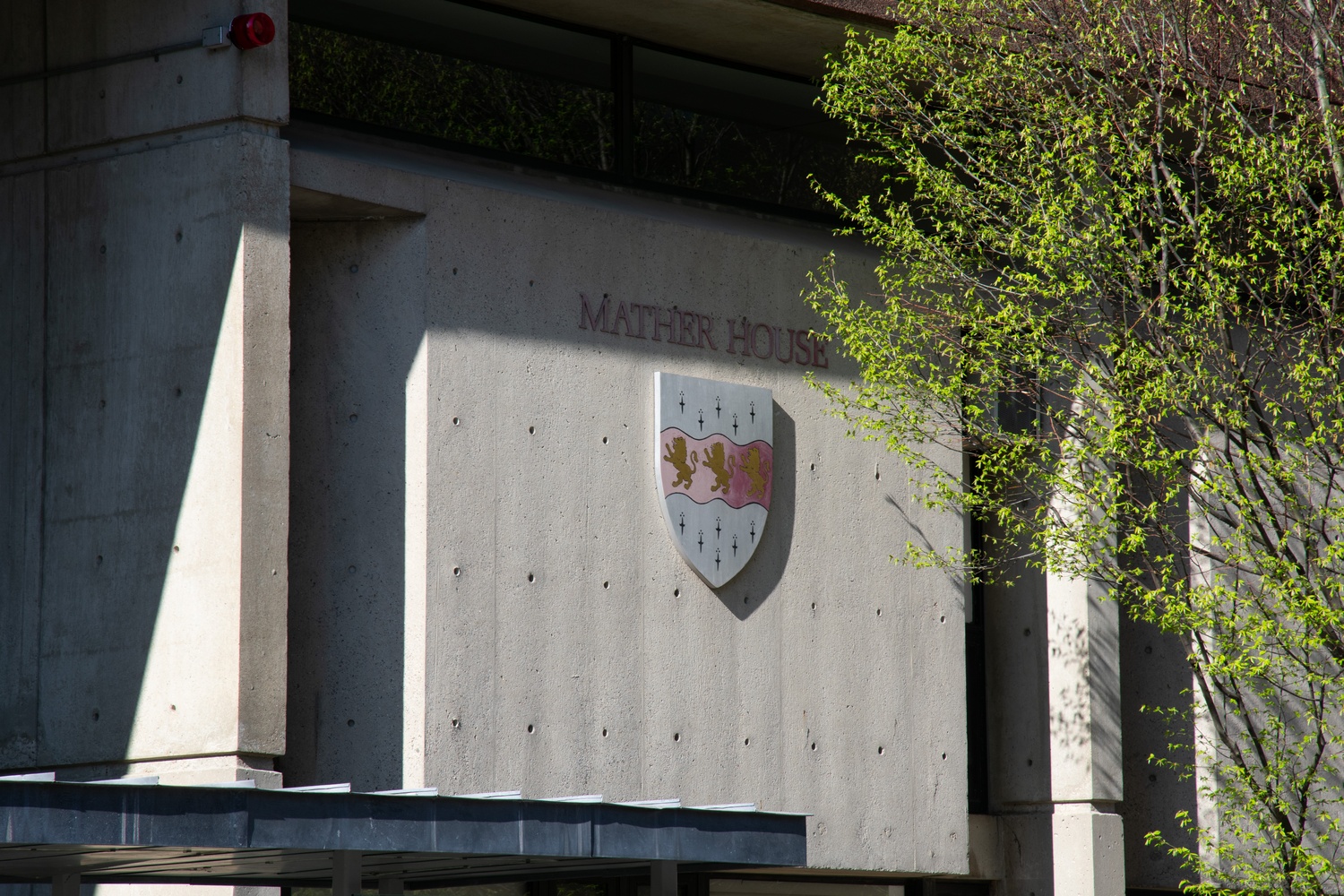 Mather House faculty deans Amala and L. Mahadevan held a Diwali celebration for Harvard College students at their residence last Friday.