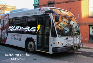 blitz-bus