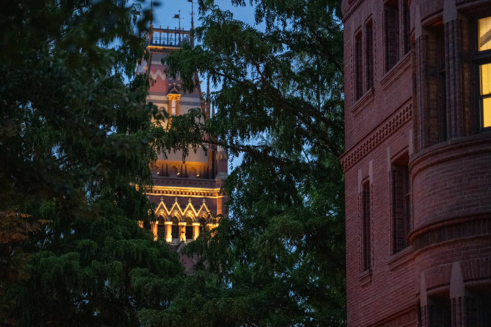 Harvard Expands Screening of International Visitors After Federal Probes