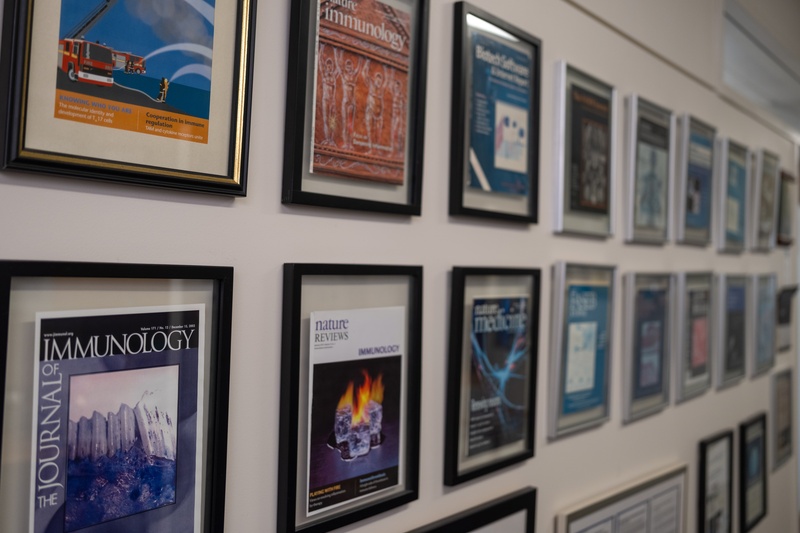 Framed Medical Publications at the Center for Experimental Therapeutics and Reperfusion Injury
