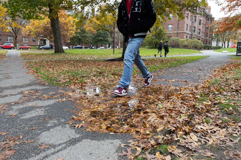 Pesky Puddle at North West Laboratories