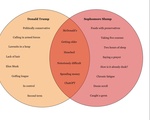 Trump/Sophomore Slump Venn Diagram
