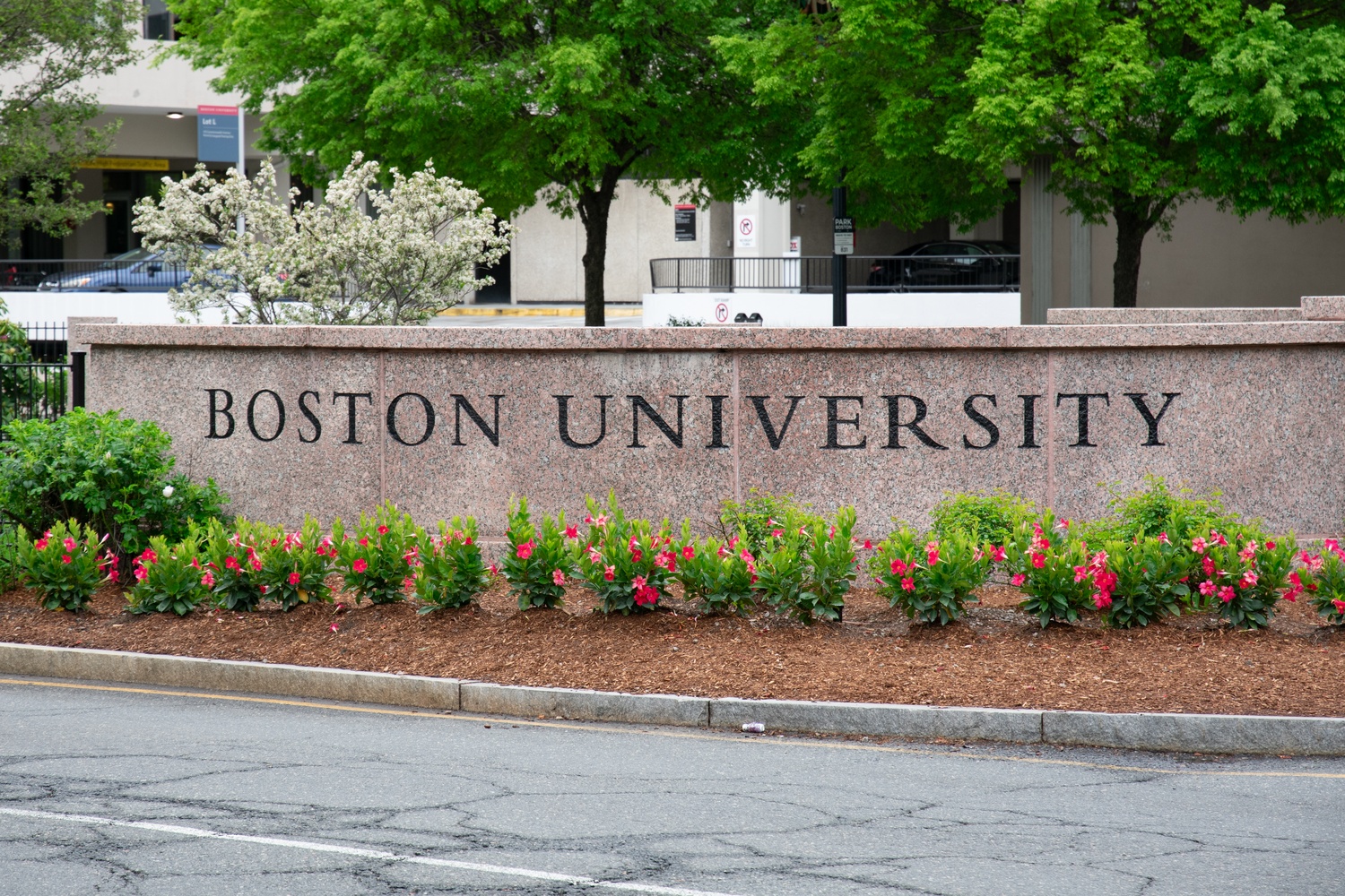 A Boston University student posted on social media this week to celebrate a raid on an Allston car wash, saying he had been asking Immigrations and Customs Enforcement for months to crack down on immigrant workers in the neigborhood.