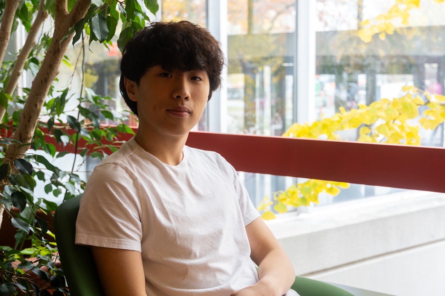 Yangzhen Chen '29 started his own admissions firm, Veritas Pathway, the same month he received his acceptance letter to Harvard.