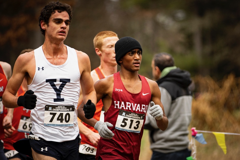 Freshman Tam Gavenas Excels 