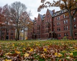 Fall Leaves in Harvard Yard in November