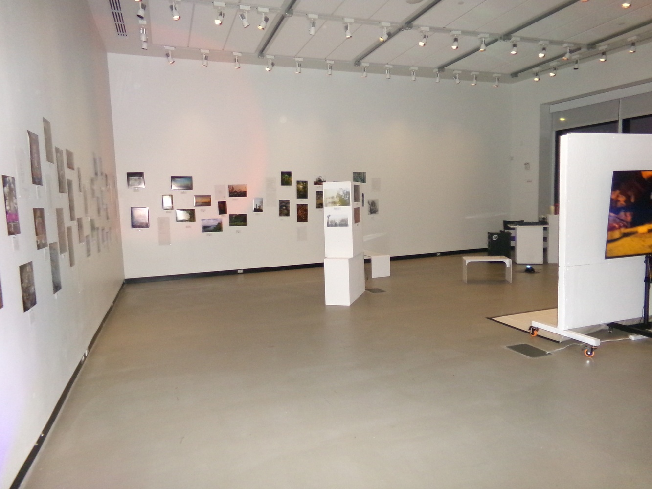 Harvard Undergraduate Psychedelic Club hosted their Fall 2025 Art Show on Nov. 14.