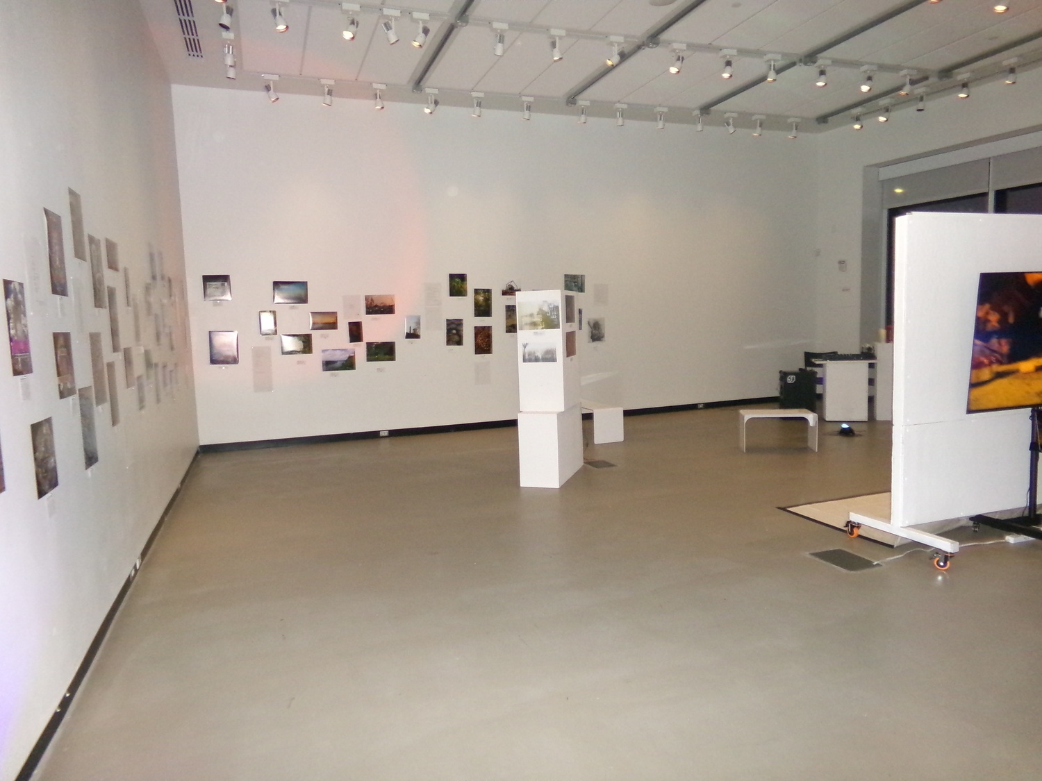 Harvard Undergraduate Psychedelic Club hosted their Fall 2025 Art Show on Nov. 14.