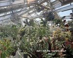 Greenhouse